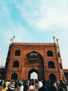 pexels-k3ithvision-19528180