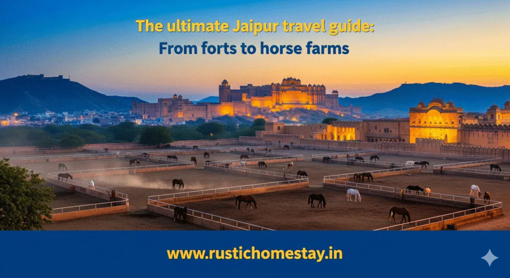 The Ultimate Jaipur travel guide from forts to horses and off beat experiences to make your stay memorable in Jaipur