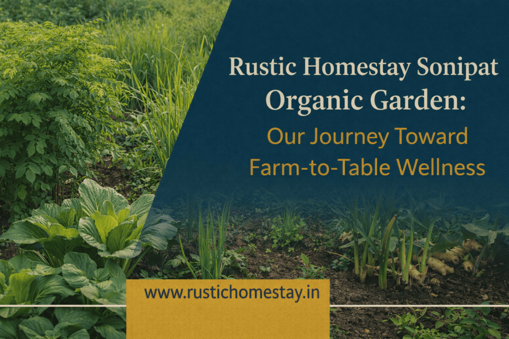 Rustic Homestay Sonipat Organic Garden: Our Journey Toward Farm-to-Table Wellness